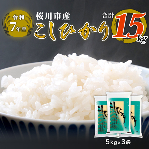 【 令和7年産 】 数量限定 桜川市産こしひかり 15kg （5kg×3袋） 茨城県産 桜川 米 お米 白米 コメ ごはん 精米 コシヒカリ こしひかり 国産 限定 [AX006sa] 2506026 - 茨城県桜川市
