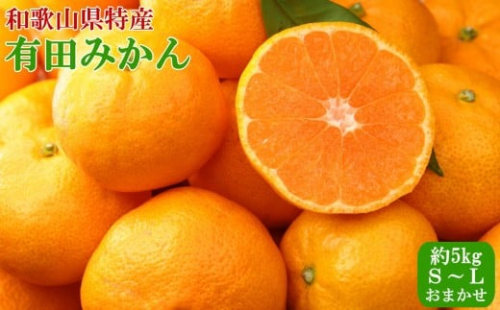 [秀品]和歌山有田みかん5kg (S～Lサイズおまかせ) ★2026年11月中旬頃より順次発送 2506221 - 和歌山県有田川町