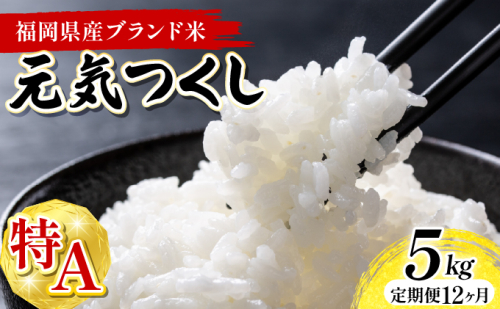 【12ヶ月定期便】令和7年産 福岡県産米 元気つくし 5kg 精米 ※北海道・沖縄・離島は配送不可 CY011sub12 2506318 - 福岡県大木町