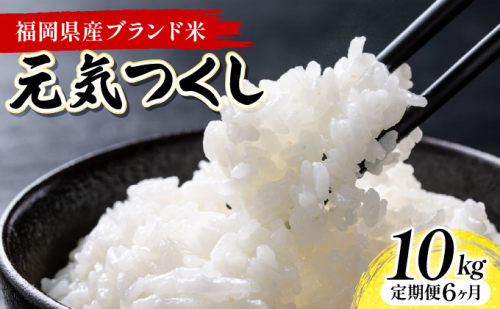 【6ヶ月定期便】令和7年産 福岡県産米 元気つくし 10kg 精米 ※北海道・沖縄・離島は配送不可 CY012sub6 2506320 - 福岡県大木町