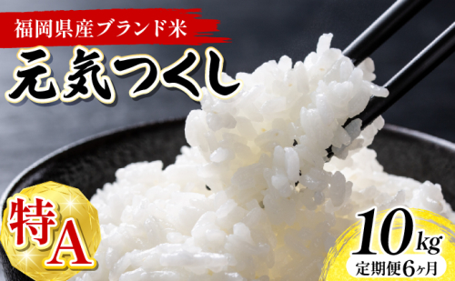 【6ヶ月定期便】令和7年産 福岡県産米 元気つくし 10kg 精米 ※北海道・沖縄・離島は配送不可 CY012sub6 2506320 - 福岡県大木町