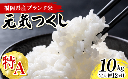 【12ヶ月定期便】令和7年産 福岡県産米 元気つくし 10kg 精米 ※北海道・沖縄・離島は配送不可 CY012sub12 2506321 - 福岡県大木町
