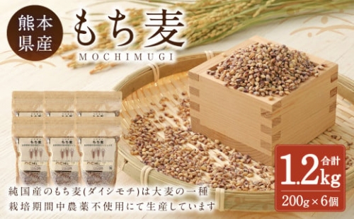 もち麦 計1.2kg（ 200g×6個 ） 水俣市 もち麦工房 250633 - 熊本県水俣市