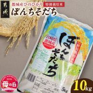 【母の日】都城産ひのひかり特別栽培米「ぼんちそだち」10kg(5kg×2袋)≪5月7日～10日お届け≫_21-N5-001-10kg-MG