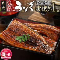 [母の日]職人手焼きの本格うなぎ蒲焼き1尾≪5月7日〜10日お届け≫_LG8-3310-MG