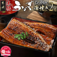 [母の日]職人手焼きの本格うなぎ蒲焼き2尾≪5月7日〜10日お届け≫_MJ-33-003-2-MG