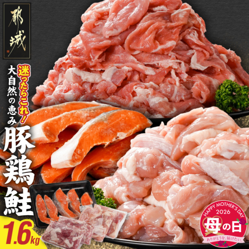【母の日】≪肉×魚≫小分け3種セット(豚切り落とし250g×2P・鶏モモカット済300g×2P・銀鮭500g)≪5月7日～10日お届け≫_13-8402-MG 2506396 - 宮崎県都城市
