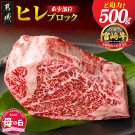 【母の日】宮崎牛ヒレブロック500g≪5月7日～10日お届け≫_22-8905-MG