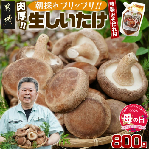【母の日】朝採れ肉厚生しいたけと特製みそだれ≪5月7日～10日お届け≫_AA-8701-MG 2506407 - 宮崎県都城市