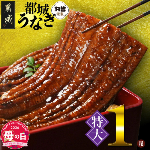 【母の日】宮崎県育ちの【特大】うなぎ蒲焼1尾210g以上≪山椒・たれ付≫≪5月7日～10日お届け≫_11-M301-MG 2506560 - 宮崎県都城市