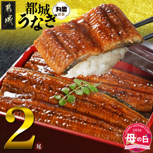 【母の日】宮崎県育ちのうなぎ蒲焼2尾300g以上≪山椒・たれ付≫≪5月7日～10日お届け≫_13-M301-MG 2506561 - 宮崎県都城市