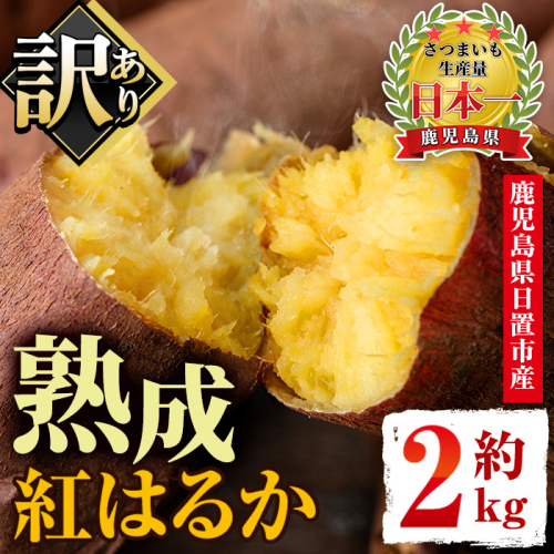 No.560-C ＜訳あり・不揃い＞鹿児島県日置市産さつまいも！熟成紅はるか(約2kg) 国産 九州産 サツマイモ 訳アリ 紅春香 熟成 芋 焼き芋 野菜 スイーツ 常温 常温保存【末永商店】 2506606 - 鹿児島県日置市