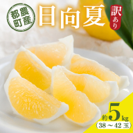 ≪先行予約≫都農町産「訳あり日向夏(約5kg)」 フルーツ 果物 柑橘 国産_T008-004