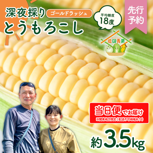 【関東+山梨県 限定当日便】【先行予約 2026年6月中旬以降発送 】 【 令和8年産 】 深夜採り 朝出荷 とうもろこし （ ゴールドラッシュ ） 約3.5kg トウモロコシ スイートコーン コーン 野菜 産地直送 期間限定 極甘 岩田さん 昼めし旅 [AX065ya] 2506857 - 茨城県八千代町