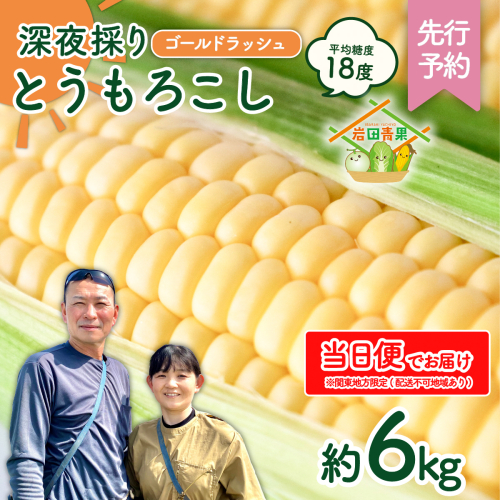 【関東+山梨県 限定当日便】【先行予約 2026年6月中旬以降発送 】 【 令和8年産 】 深夜採り 朝出荷 とうもろこし （ ゴールドラッシュ ） 約6kg トウモロコシ スイートコーン コーン 野菜 産地直送 期間限定 極甘 岩田さん 昼めし旅 [AX066ya] 2506858 - 茨城県八千代町