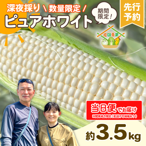 【関東+山梨県 限定当日便】【先行予約 2026年6月下旬以降発送 】 【 令和8年産 】 深夜採り 朝出荷 とうもろこし ピュアホワイト  約3.5kg トウモロコシ スイートコーン コーン 野菜 産地直送 期間限定 極甘 岩田さん 昼めし旅 甘い 生食 [AX067ya] 2506918 - 茨城県八千代町