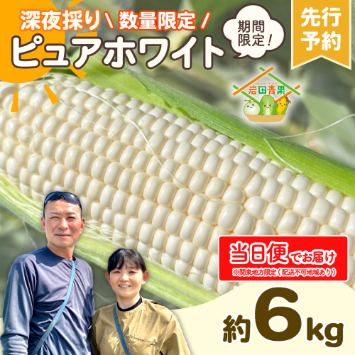 【関東+山梨県 限定当日便】【先行予約 2026年6月下旬以降発送 】 【 令和8年産 】 深夜採り 朝出荷 とうもろこし ピュアホワイト 約6kg トウモロコシ スイートコーン コーン 野菜 産地直送 期間限定 極甘 岩田さん 昼めし旅 甘い 生食 [AX068ya] 2507162 - 茨城県八千代町