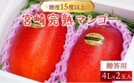AE-CD2 糖度15度以上の宮崎完熟マンゴー(4L×2玉入・贈答用)【やました農園】