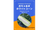 ＜めちゃあま＞ホイップコーン＜濃厚半生食感＞2L(400g以上)を10～12本【1708603】