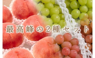 【定期便】甲州市自慢のたっぷり2種セット桃5kgとシャイン＆サンシャインレッド4房入自然農法【2026年発送】（BNC）H2-425 【桃 シャインマスカット サンシャインレッド ぶどう 葡萄 ブドウ 令和8年発送 期間限定 山梨県産 甲州市 フルーツ 果物】
