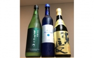 「TheSAGA認定酒」特別純米窓の梅・ルリ・東長純米3本セット D191