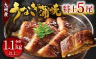 九州産 うなぎ 蒲焼 特上 5尾 計1.1kg以上 (1尾あたり220～235g)【2026年4月発送】