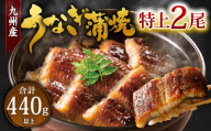九州産 うなぎ 蒲焼 特上 2尾 計440g以上 (1尾あたり220～235g)【2026年4月発送】