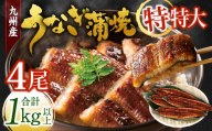 九州産 うなぎ蒲焼 特特大4尾 (1尾あたり250～266g) 合計：1kg以上【2026年4月発送】