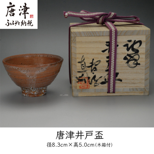 唐津焼 唐津 井戸盃＃irodoriからつ四季の返礼品 2508783 - 佐賀県唐津市