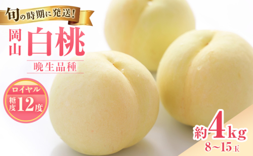 【2027年先行受付】 白桃 特秀 ロイヤル 大玉 晩生品種 約4kg(8～15玉) 岡山県産 桃 もも モモ 御中元 ギフト 御礼 プレゼント 御礼 御祝 御供 果物 くだもの フルーツ 2508824 - 岡山県高梁市