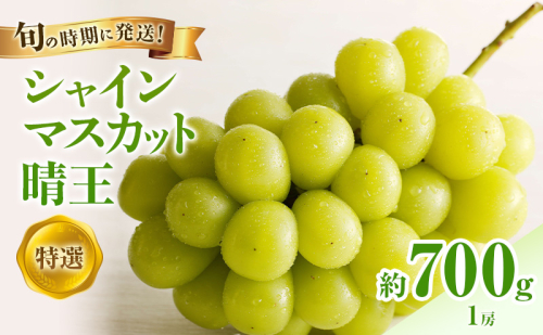 【2026年先行受付】 シャインマスカット 晴王 特選 大房 約700g 1房  化粧箱入 岡山県産 ぶどう 葡萄 ブドウ ギフト 御礼 プレゼント 御礼 御祝 御供 果物 くだもの フルーツ 2508830 - 岡山県高梁市