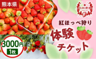 【家族・カップルにおすすめ！】熊本・玉名市のいちご狩り体験割引券 紅ほっぺ狩り体験チケット 3,000円×1枚 1セット | いちご狩り フルーツ狩り チケット 体験 体験チケット イベントチケット 自然体験 観光体験  期間限定 ギフト 贈答用 プレゼント 体験ギフト 熊本県 玉名市