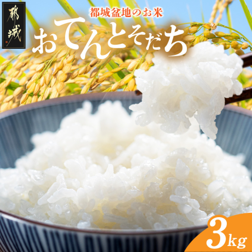 都城盆地のお米「おてんとそだち」3kg_LG-15-006-3kg 2508950 - 宮崎県都城市