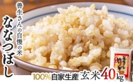 令和5年産！『100%自家生産玄米』善生さんの自慢の米 玄米ななつぼし４０kg※一括発送【06138】