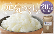 【 令和8年産 】 農家直送！冷めてもうまい元気つくし。福岡が誇るお米「 元気つくし 」 20kg 米 お米 コメ ご飯 白ご飯 白米 国産 福岡県産 オニギリ おにぎり 【 2026年10月下旬発送開始 】