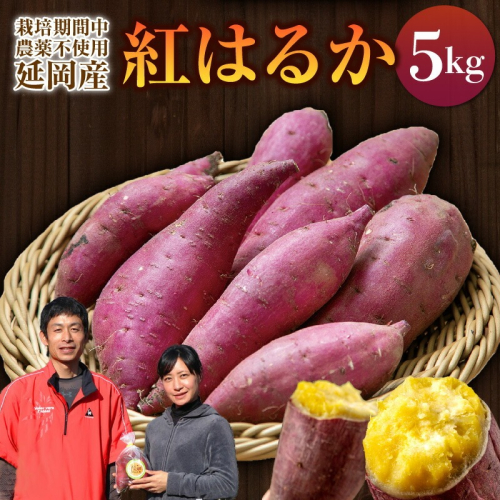 さつまいも 紅はるか 5kg　N063-YA3385 2509111 - 宮崎県延岡市