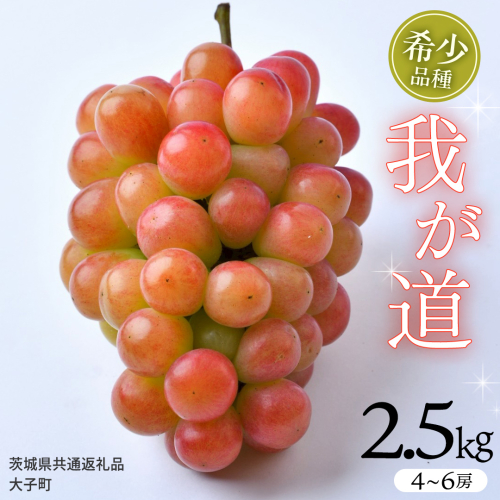 我が道 2.5kg (4～6房)【2026年8月下旬発送開始】(茨城県共通返礼品：大子町) シャインマスカット ウインク 葡萄 ブドウ ぶどう 果物 フルーツ 希少 新品種 2509152 - 茨城県牛久市