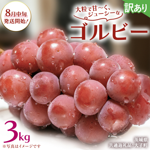 【 訳あり 】 ゴルビー 3kg 【2026年8月中旬発送開始】(茨城県共通返礼品：大子町) ぶどう 葡萄 ブドウ 果物 フルーツ 果実 ワケあり ご自宅用 ご家庭用 自分用 2509154 - 茨城県牛久市