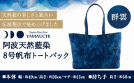 阿波天然藍染８号帆布トートバック 群雲 《30日以内に出荷予定(土日祝除く)》有限会社やまうち 徳島県 美馬市 天然藍染 藍染 トートバック バック 藍 送料無料
