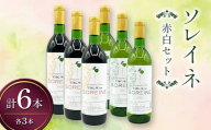 ソレイネ 赤白セット 720ml 各3本 ワイン 永山酒造 アルコール 酒 F6L-1382