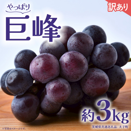 【 訳あり 】 巨峰 3kg 【2026年9月発送開始】(茨城県共通返礼品：大子町) ぶどう 葡萄 ブドウ フルーツ 果物 スイーツ わけあり ワケあり ご自宅用 ご家庭用 自分用 2509218 - 茨城県牛久市