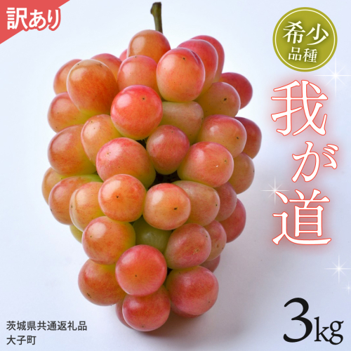 【 訳あり 】 我が道 3kg 【2026年9月発送開始】(茨城県共通返礼品：大子町) シャインマスカット ウインク 葡萄 ブドウ ぶどう 果物 フルーツ 希少 新品種　 わけあり ワケあり ご自宅用 ご家庭用 自分用 2509220 - 茨城県牛久市