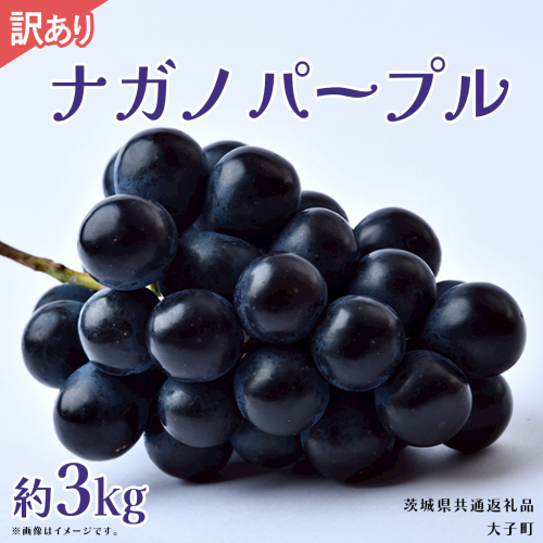 【 訳あり 】ナガノパープル 3kg 【2026年9月上旬発送開始】(茨城県共通返礼品：大子町) ぶどう 葡萄 ブドウ 果物 フルーツ 果実　 わけあり ワケあり ご自宅用 ご家庭用 自分用 2509221 - 茨城県牛久市