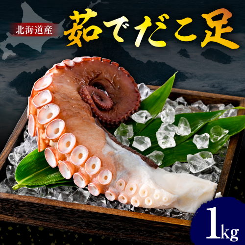 たこ　足（1kg）【er018-012】 2509222 - 北海道えりも町