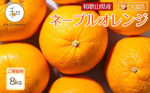 家庭用 森本農園の手選別ネーブルオレンジ 約8kg 和歌山県産 サイズ混合 ［北海道・沖縄・離島配送不可］［RN46］［2026年1月上旬から順次発送］★ 2509308 - 和歌山県上富田町