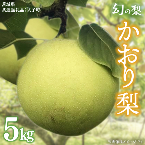 かおり 梨 5kg 【2026年8月中旬発送開始】(茨城県共通返礼品：大子町) 梨 なし 果物 くだもの フルーツ かおり 芳醇 希少品 青梨 2509311 - 茨城県牛久市