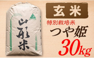 【令和7年産】【玄米】山形県産 特別栽培米 つや姫30kg