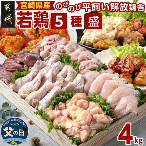 【父の日】宮崎県産若鶏 5種盛4kgセット≪6月18日～21日お届け≫_AA-G302-FG 2509570 - 宮崎県都城市