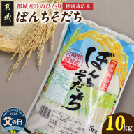 【父の日】都城産ひのひかり特別栽培米「ぼんちそだち」10kg(5kg×2袋)≪6月18日～21日お届け≫_21-N5-001-10kg-FG