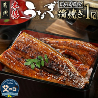 [父の日]職人手焼きの本格うなぎ蒲焼き1尾≪6月18日〜21日お届け≫_LG8-3310-FG